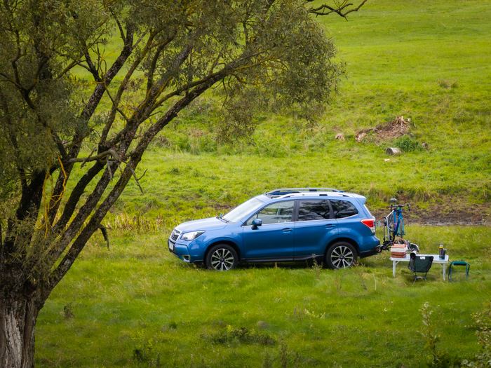 Forester pod drzewem z drona
